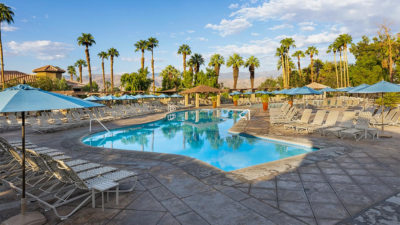 Palmeras Pool